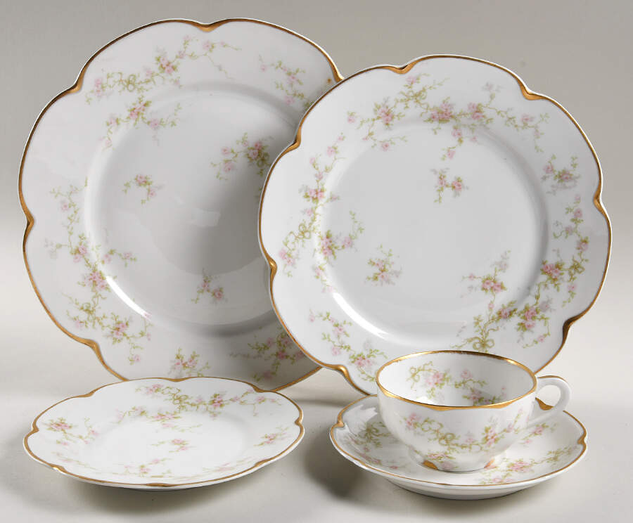 Schleiger 161-4 5 Piece Place Setting by Haviland-1