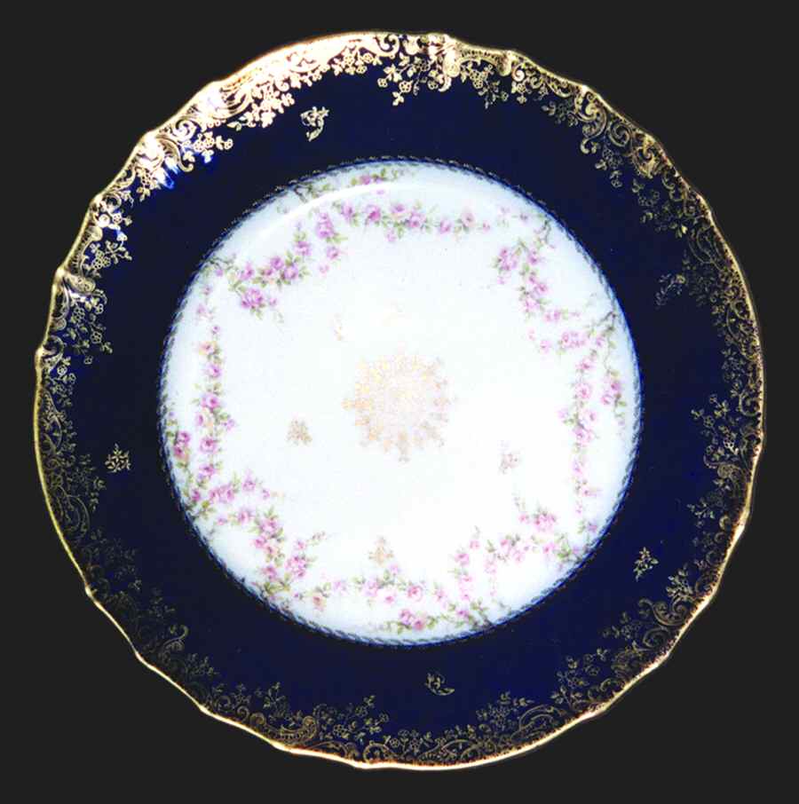 H2454 Dinner Plate by Haviland-1