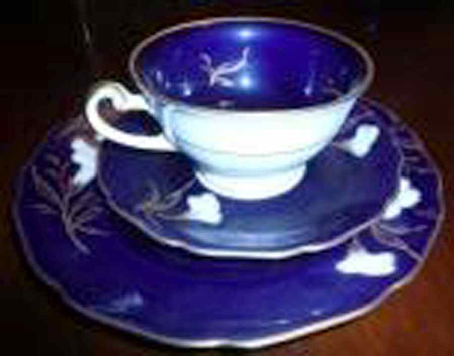 HUT1245 Footed Cup & Saucer Set by Hutschenreuther-1