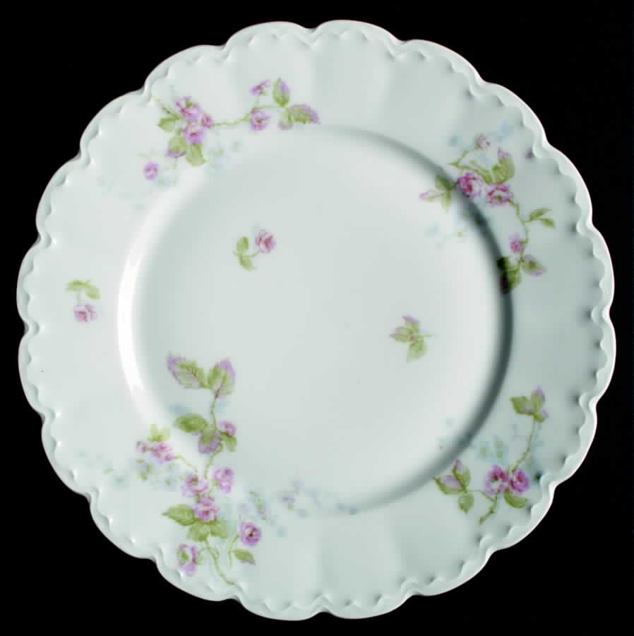 H2457 Dinner Plate by Haviland-1