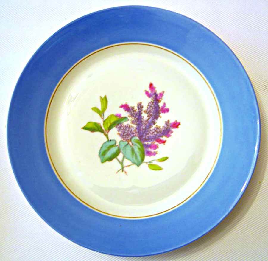 H2564 Bread & Butter Plate by Haviland-1