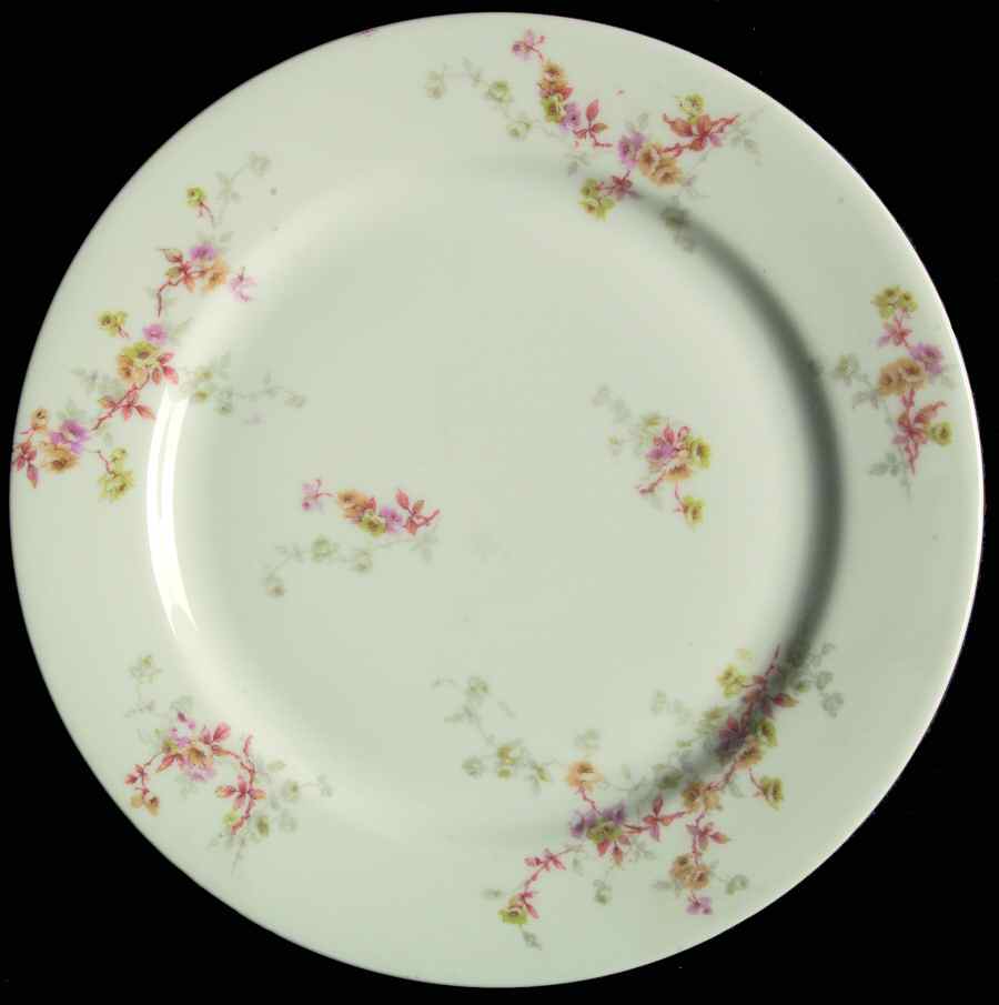 Schleiger 339-8 Dinner Plate by Haviland-1