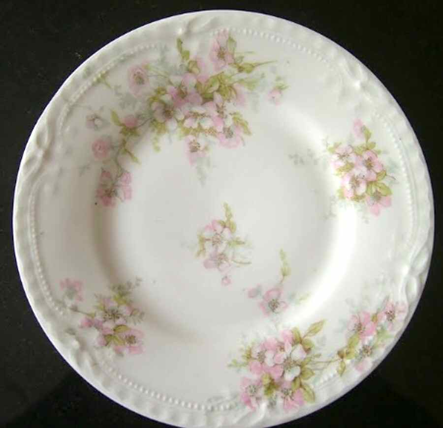 Schleiger 162-6 Salad Plate by Haviland-1