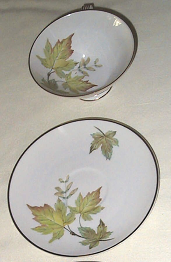 HUT1252 Footed Cup & Saucer Set by Hutschenreuther-1