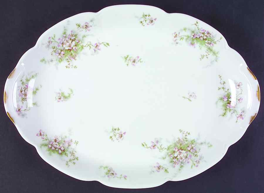 Schleiger 146-4 16" Oval Serving Platter by Haviland-1