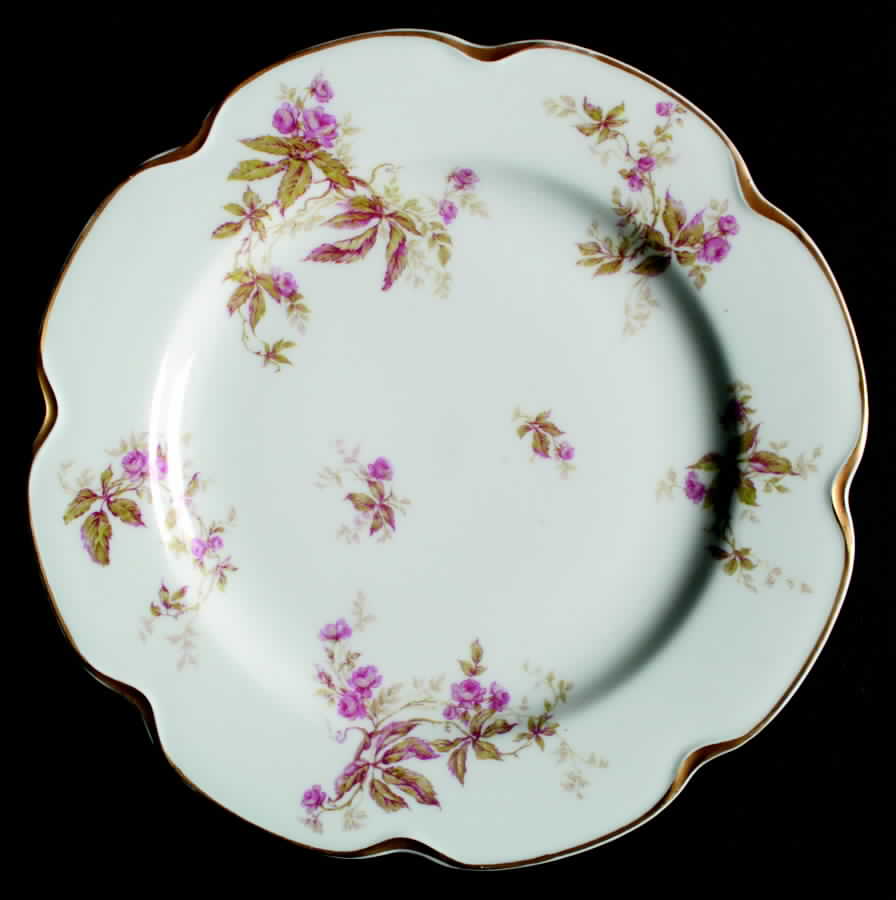 Schleiger 1163-1 Salad Plate by Haviland-1