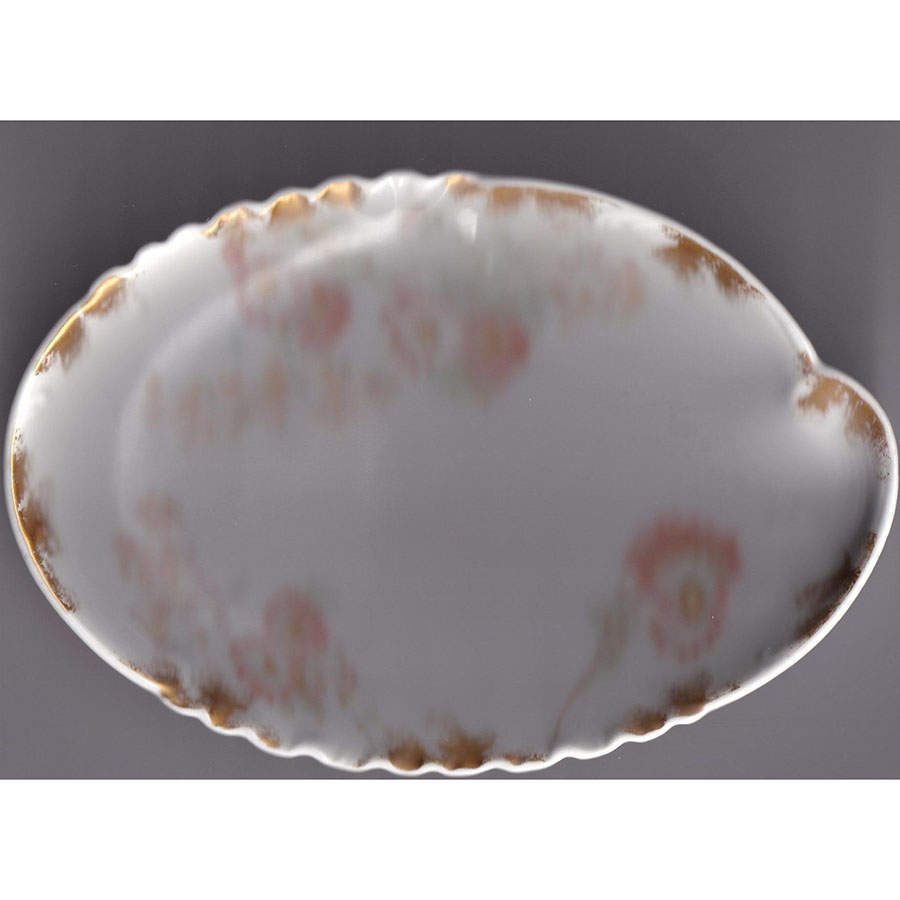 Schleiger 237-3 Oval Bone Dish by Haviland-1