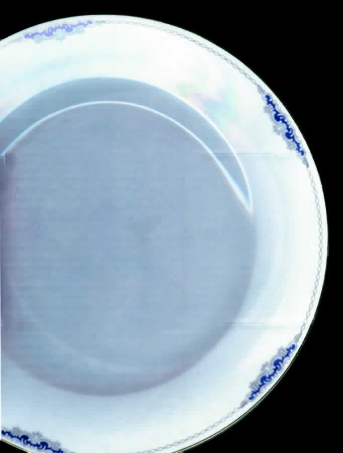 HC784 Dinner Plate by Heinrich - H&C-1