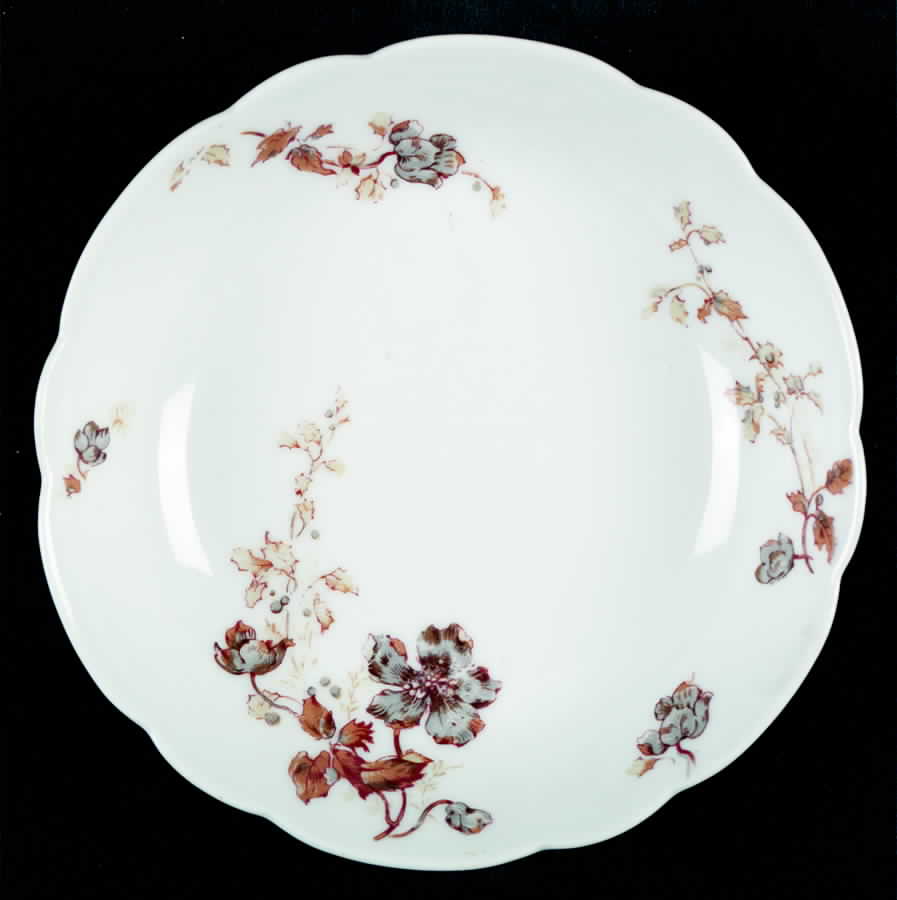 H2570 Oatmeal Bowl by Haviland-1