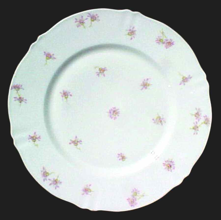 Schleiger 316-1 Dinner Plate by Haviland-1