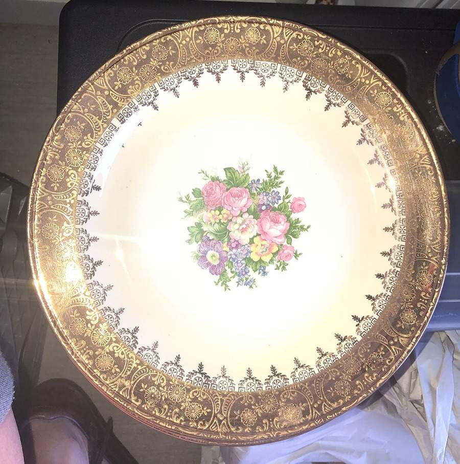HLC2304 Dinner Plate by Homer Laughlin -1