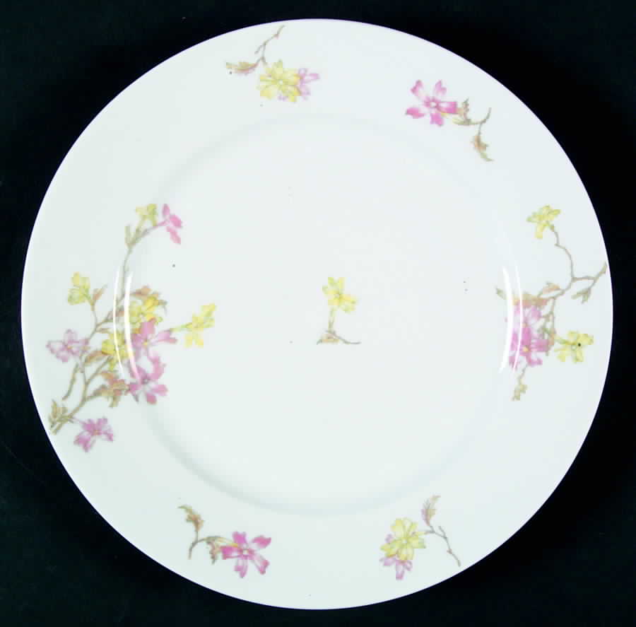H2485 Dinner Plate by Haviland-1