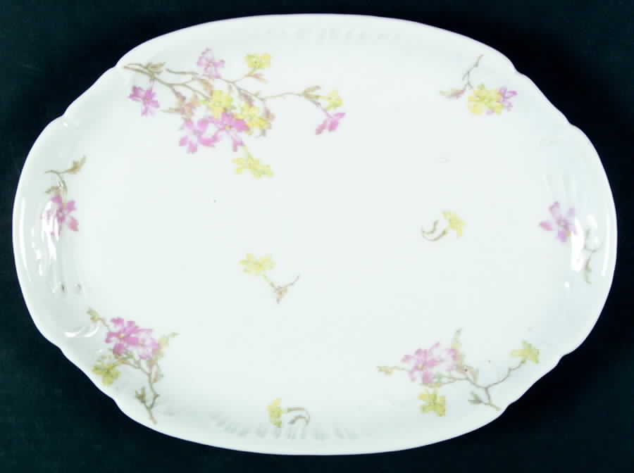 H2486 13" Oval Serving Platter by Haviland-1