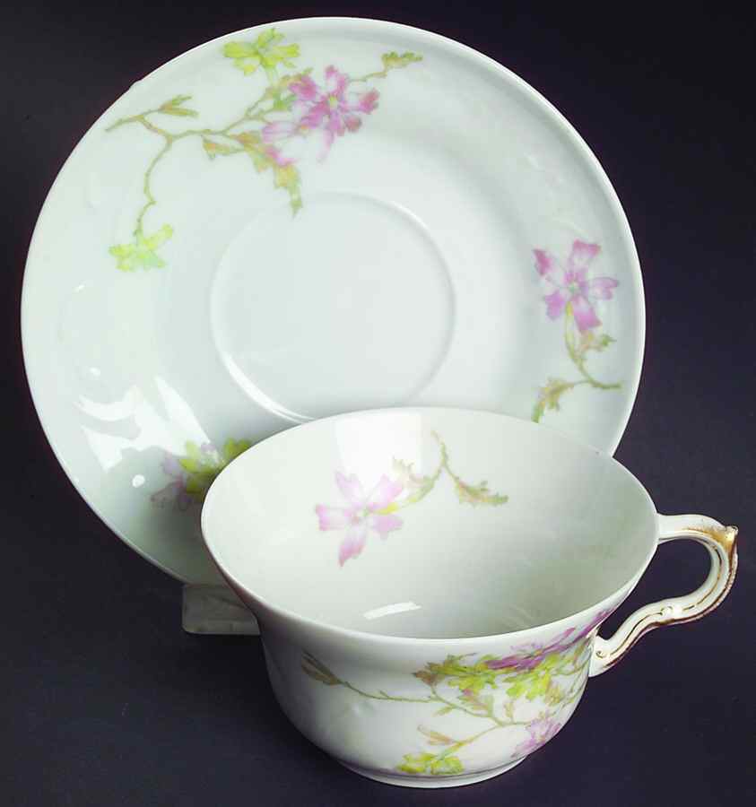 H2486 Flat Cup & Saucer Set by Haviland-1