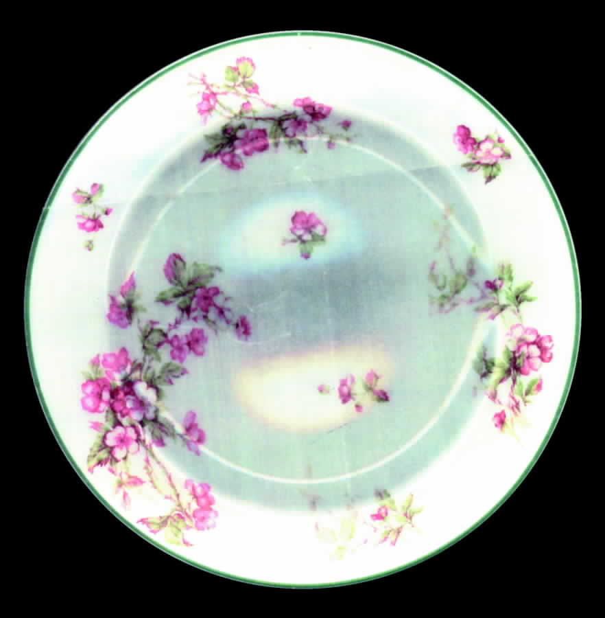 Schleiger 241-2 Dinner Plate by Haviland-1