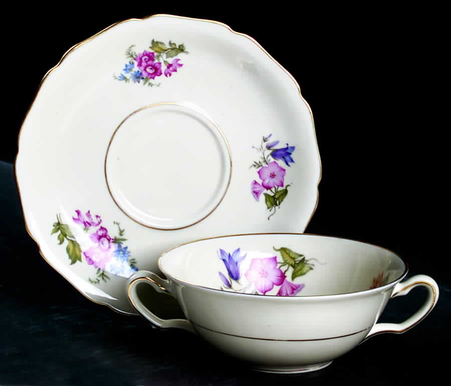 5873 Flat Cream Soup Bowl & Saucer Set by Hutschenreuther-1