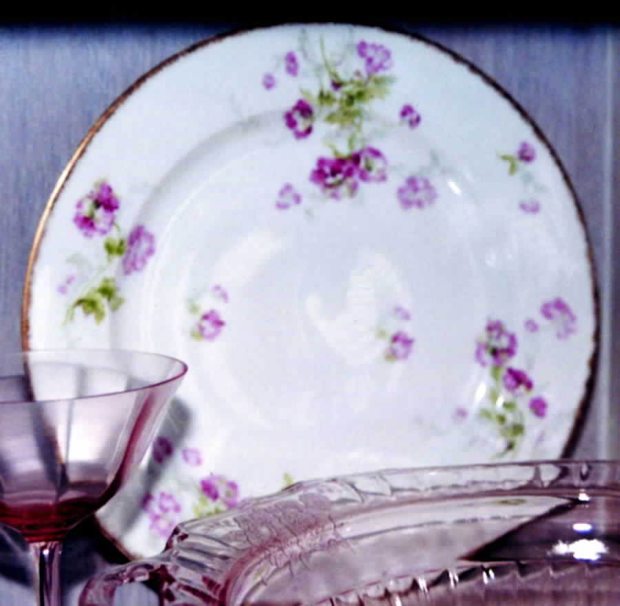 H2490 Dinner Plate by Haviland-1