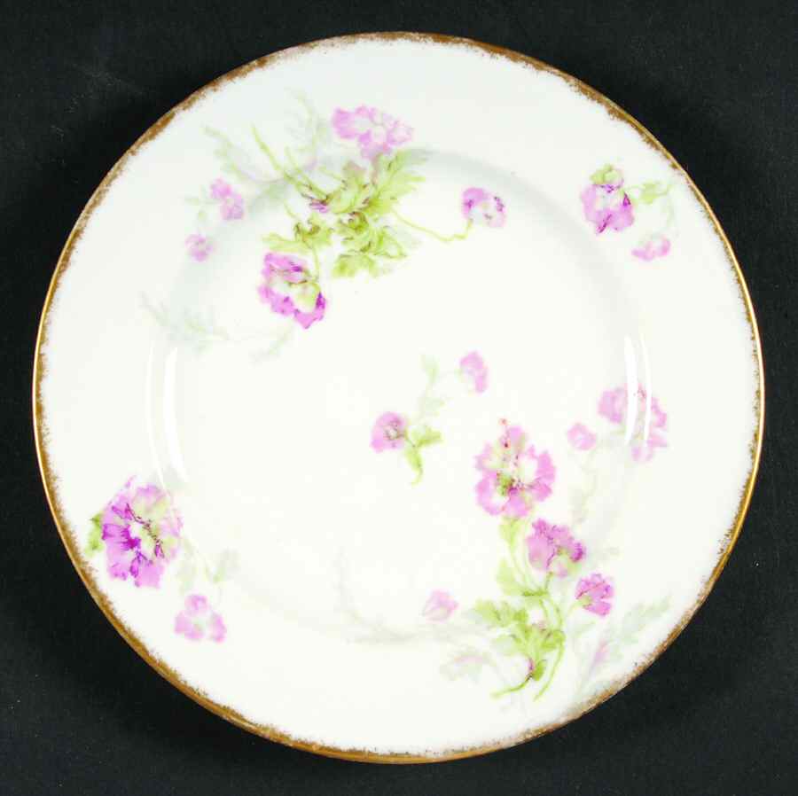H2490 Bread & Butter Plate by Haviland-1
