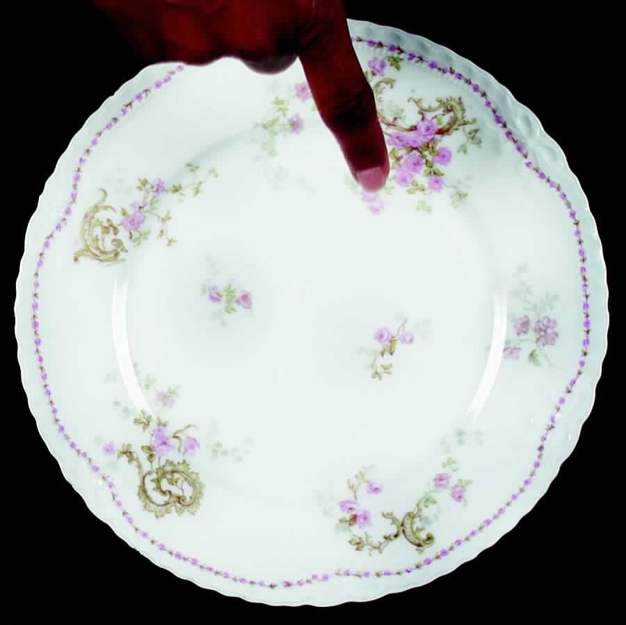 Schleiger 144-5 Dinner Plate by Haviland-1