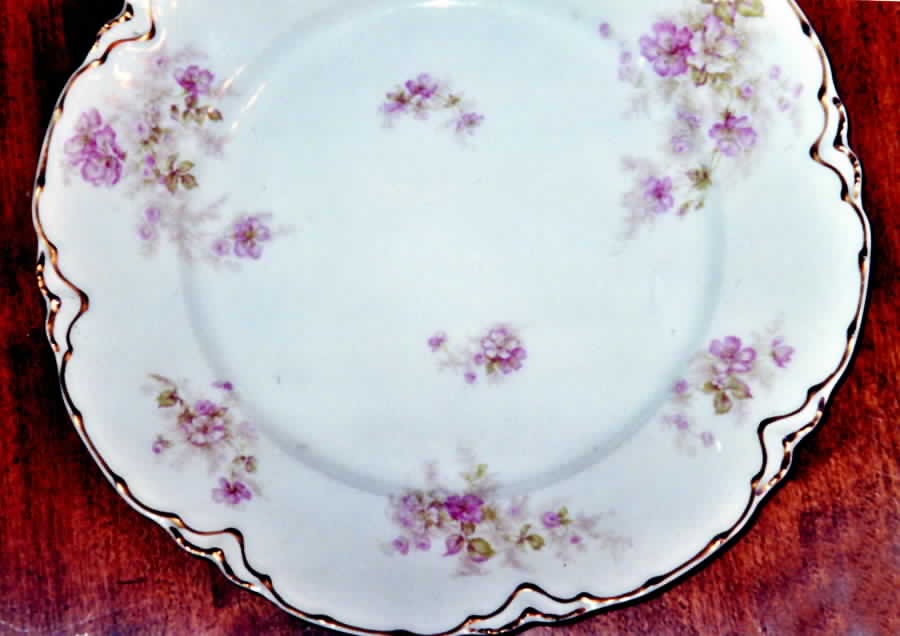 Schleiger 1172-3 Dinner Plate by Haviland-1
