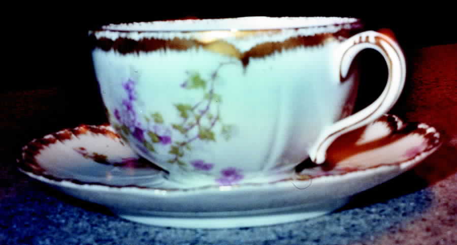 Schleiger 1172-3 Flat Cup & Saucer Set by Haviland-1