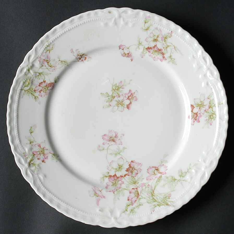 H2492 Dinner Plate by Haviland-1
