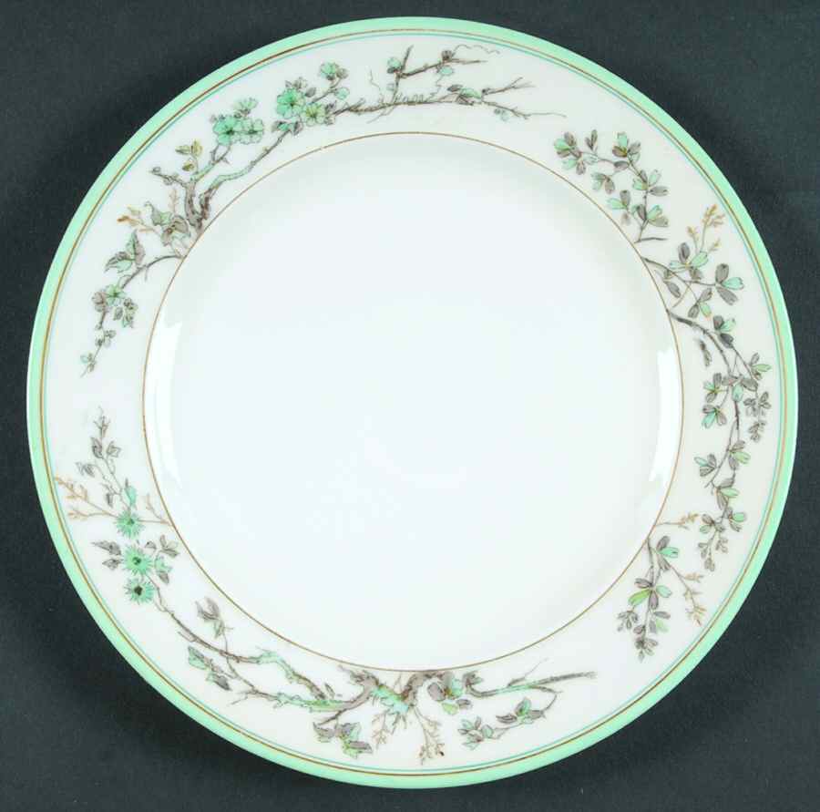 H2493 Salad Plate by Haviland-1