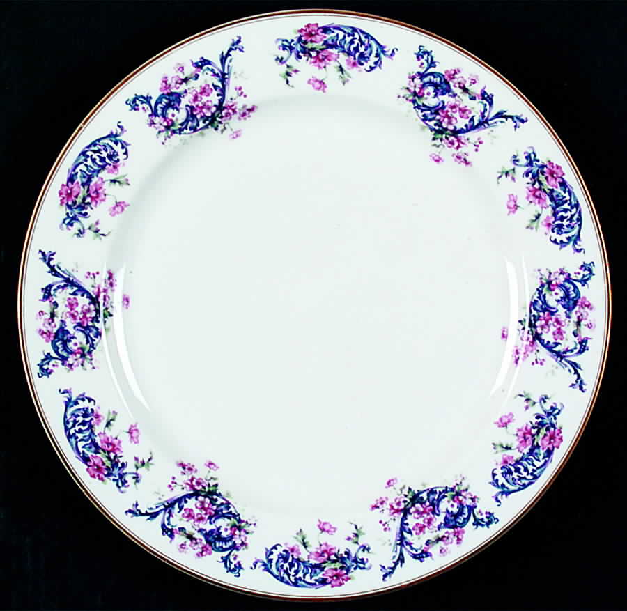 H2579 Dinner Plate by Haviland-1