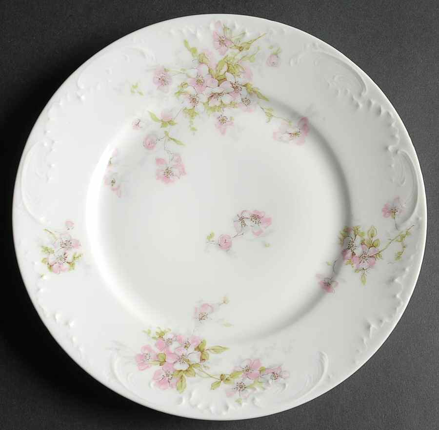 Schleiger 162-1 Salad Plate by Haviland-1