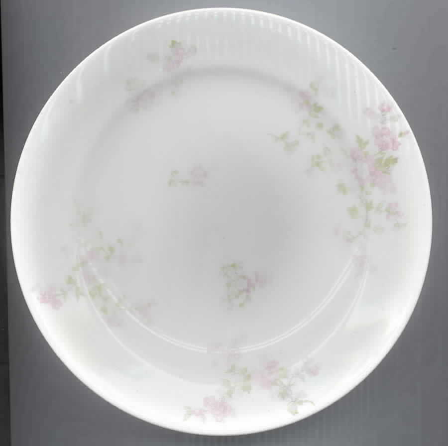 H2504 Bread & Butter Plate by Haviland-1