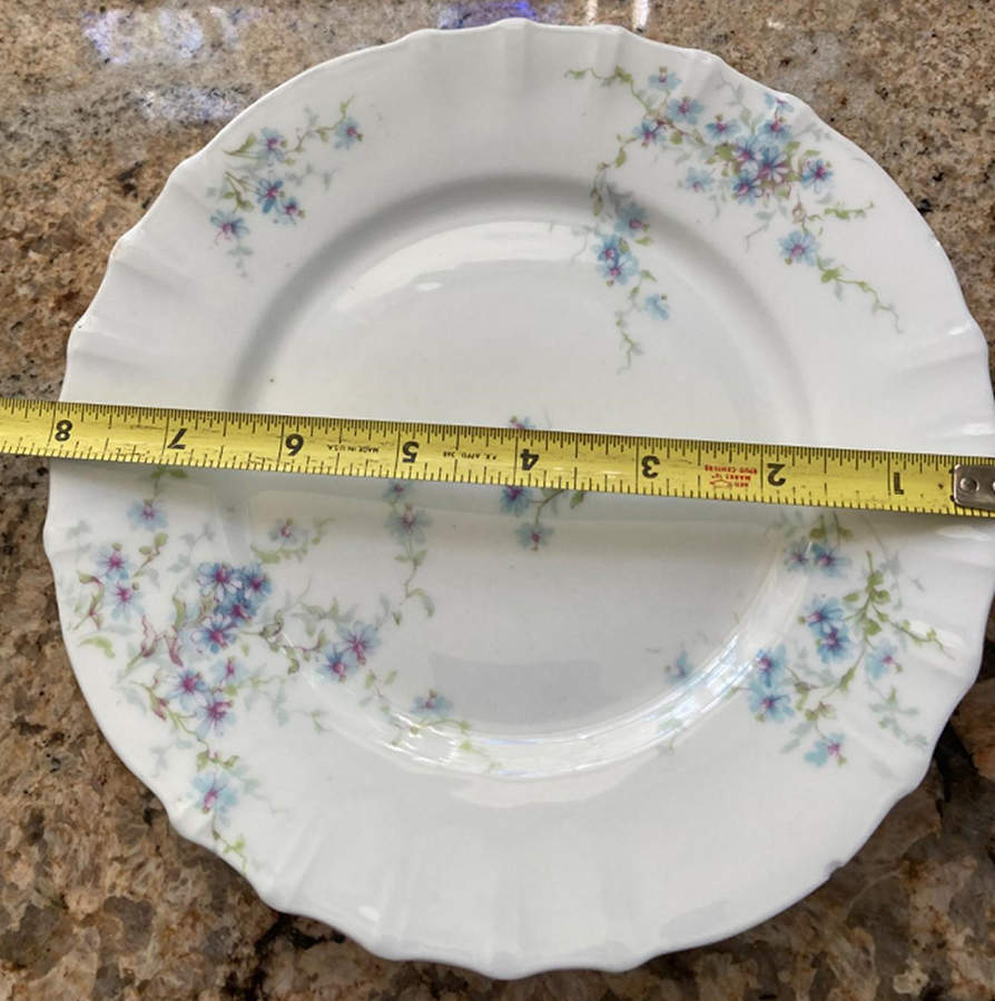 Schleiger 314f Salad Plate by Haviland-1