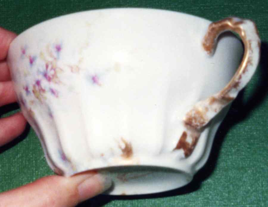 Schleiger 314f Flat Cup by Haviland-1
