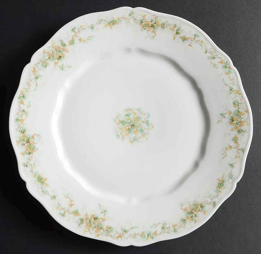 H2520 Dinner Plate by Haviland-1