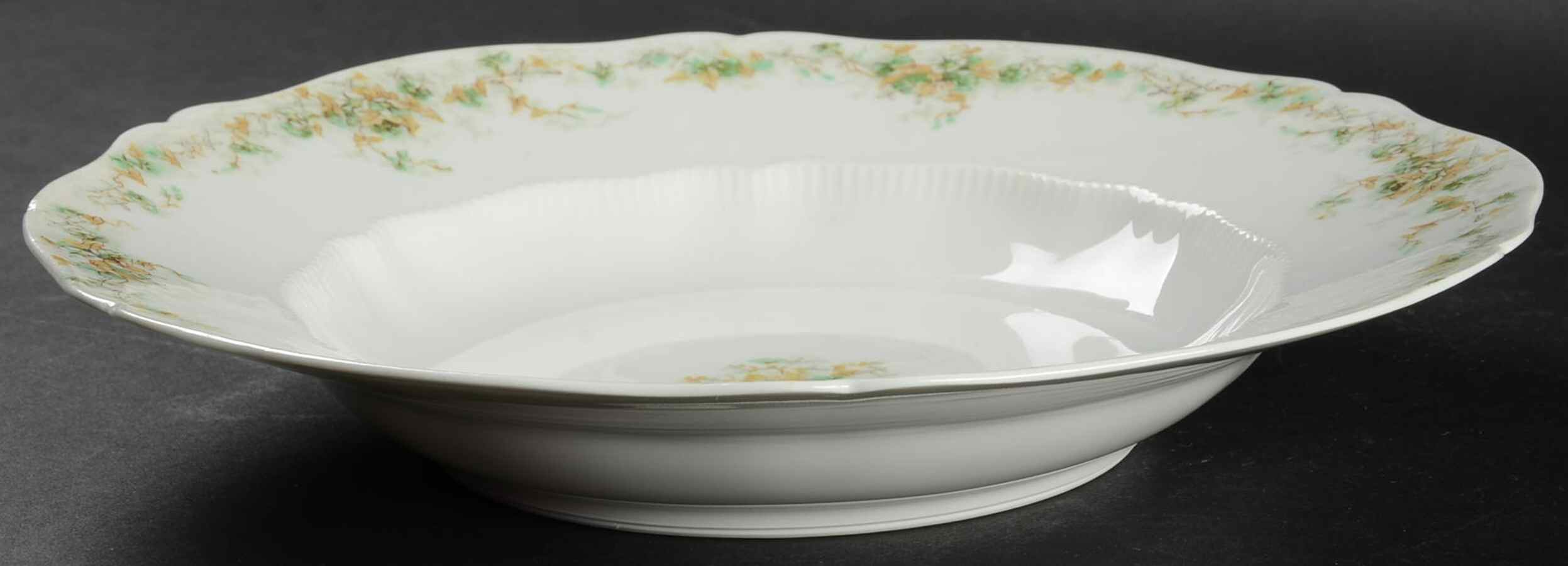 H2520 Large Rim Soup Bowl by Haviland-1