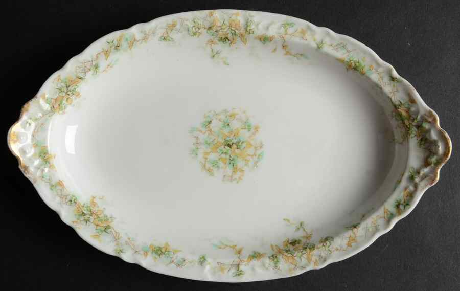 H2520 Relish by Haviland-1