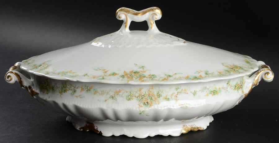 H2520 Oval Covered Vegetable by Haviland-1