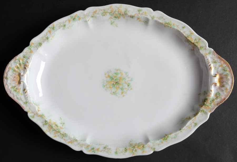 H2520 12" Oval Serving Platter by Haviland-1