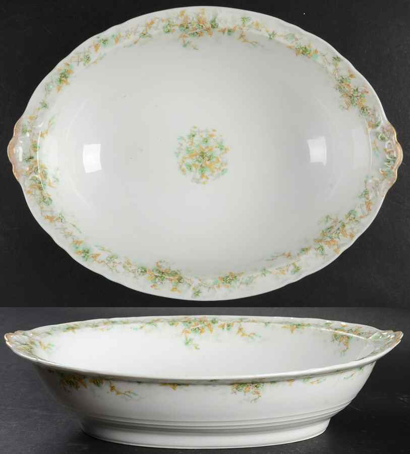 H2520 10" Oval Vegetable Bowl by Haviland-1