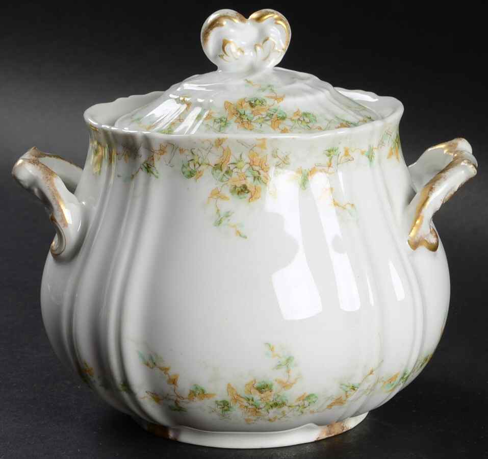 H2520 Oversize Sugar Bowl & Lid by Haviland-1
