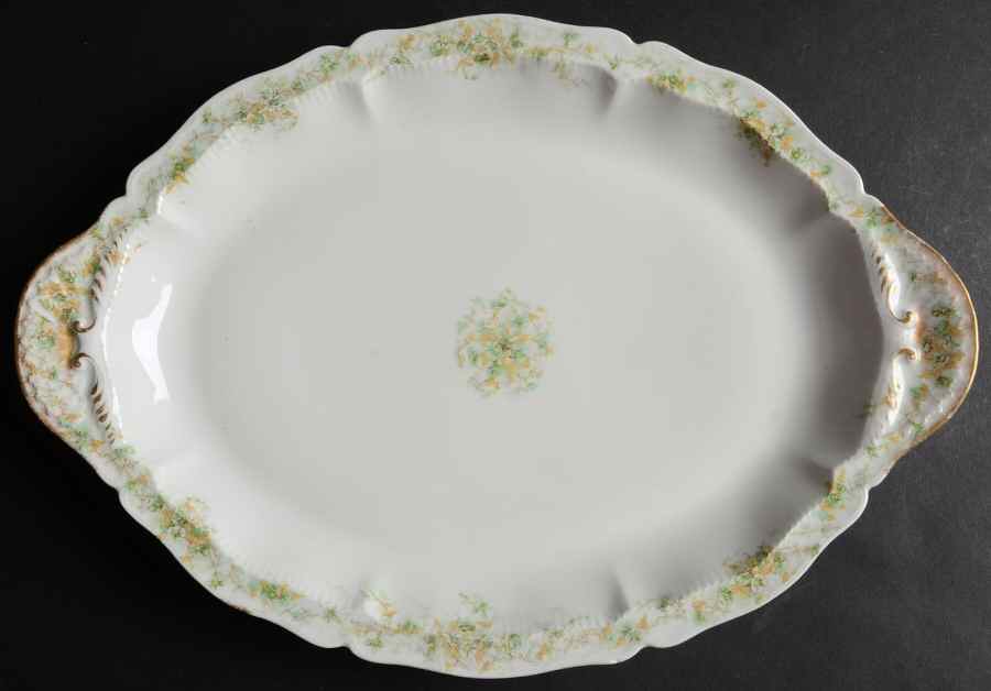 H2520 14" Oval Serving Platter by Haviland-1