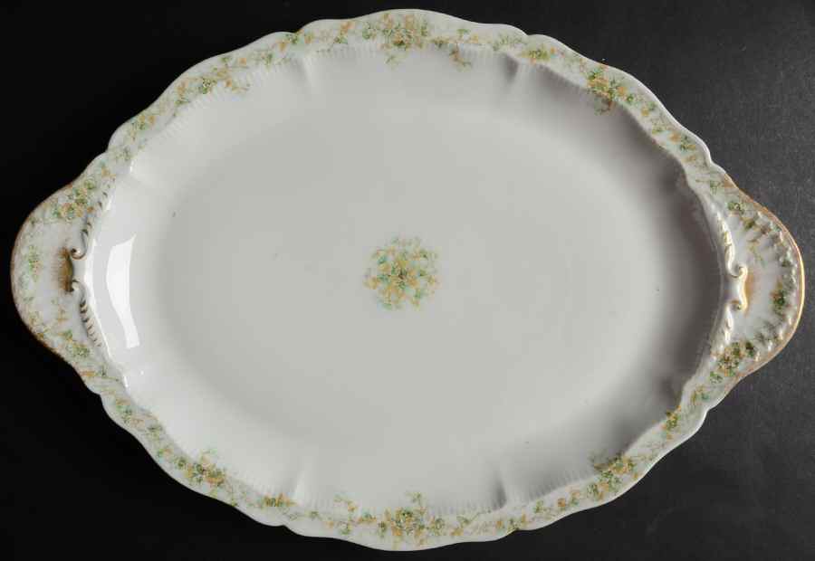 H2520 16" Oval Serving Platter by Haviland-1