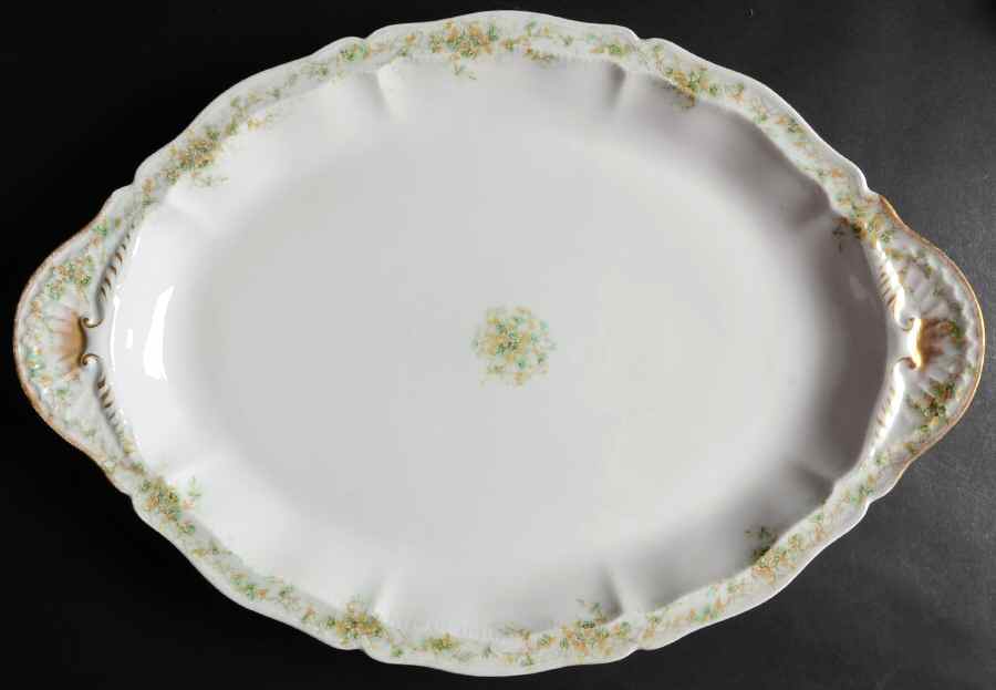 H2520 18" Oval Serving Platter by Haviland-1