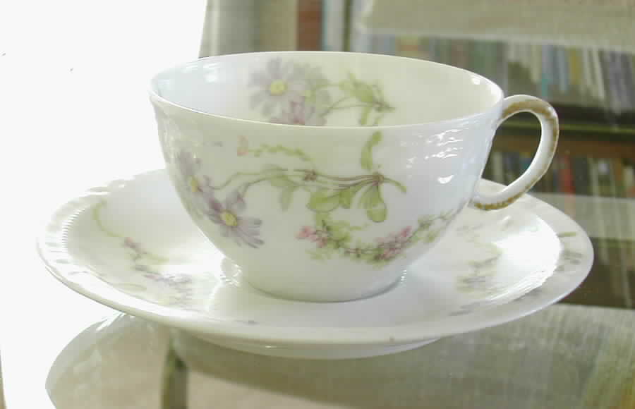 Schleiger 1041-1 Flat Cup & Saucer Set by Haviland-1