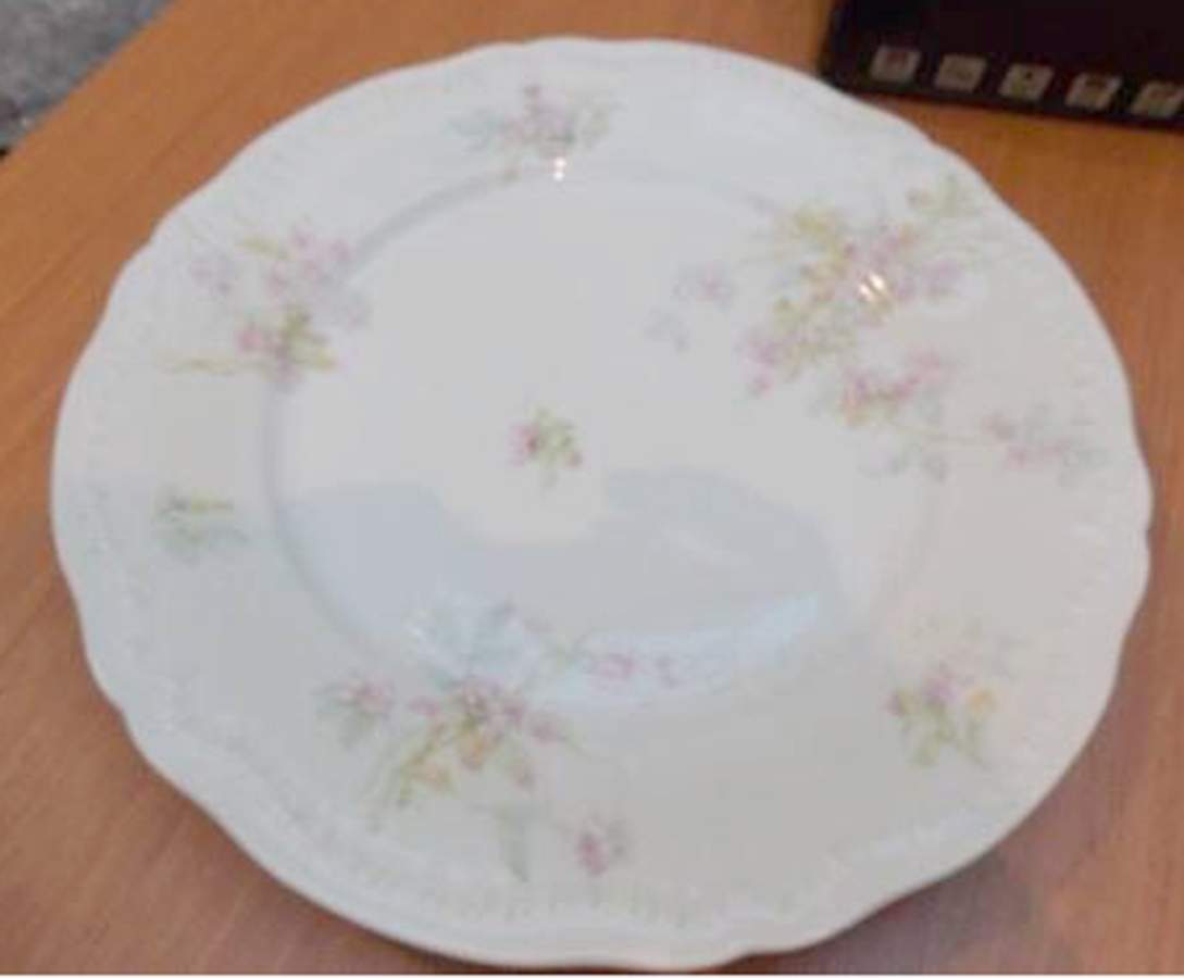H2583 Dinner Plate by Haviland-1