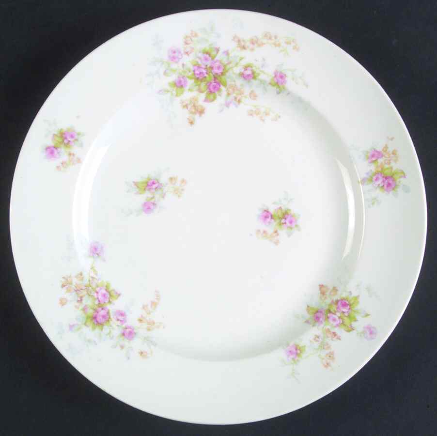 H2529 Luncheon Plate by Haviland-1