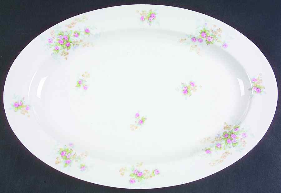 H2529 16" Oval Serving Platter by Haviland-1