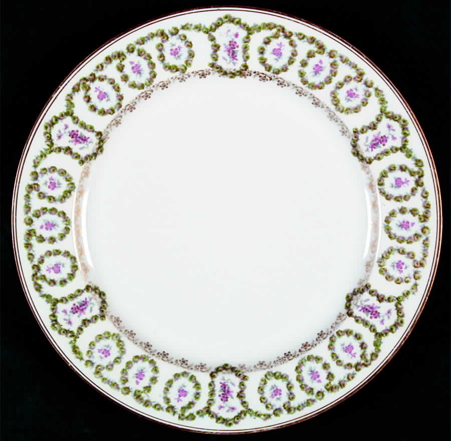 H2586 Dinner Plate by Haviland-1