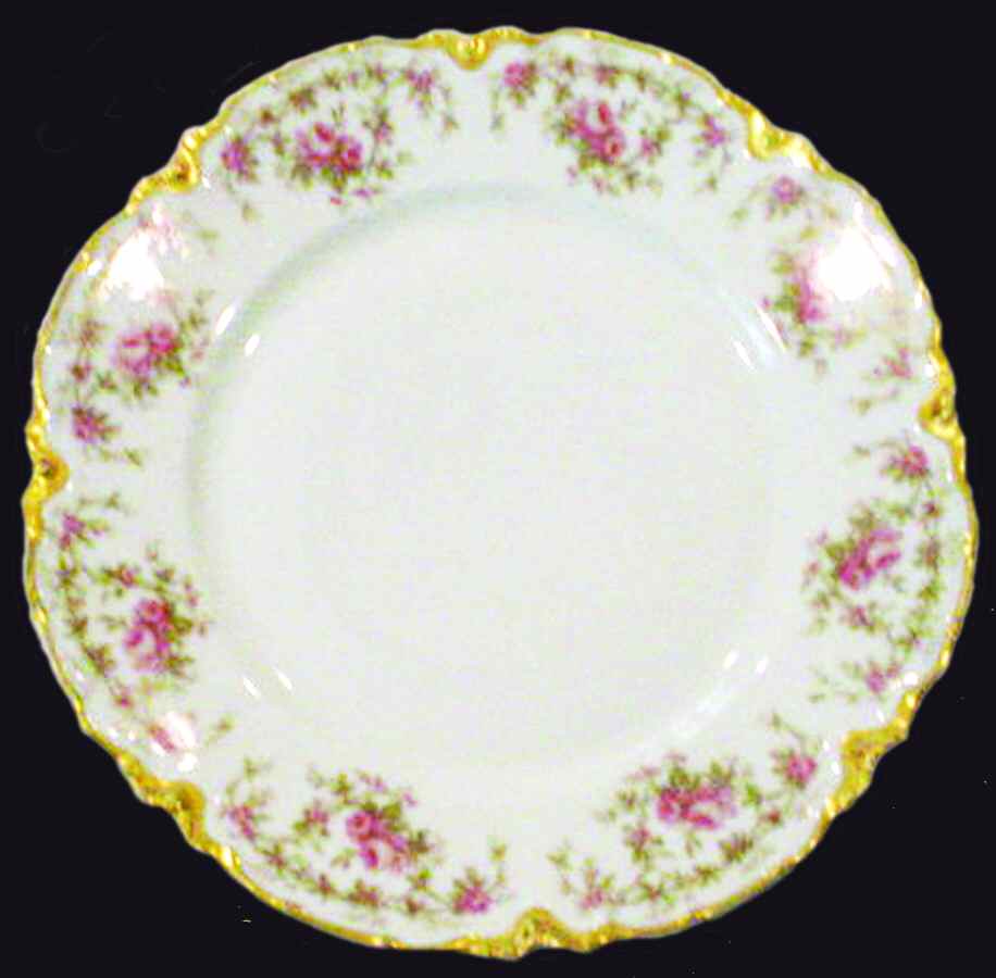 H2534 Dinner Plate by Haviland-1