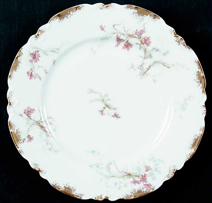 Schleiger 70-2 Dinner Plate by Haviland-1