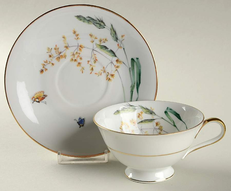 Summer Footed Cup & Saucer Set by Heinrich - H&C-1